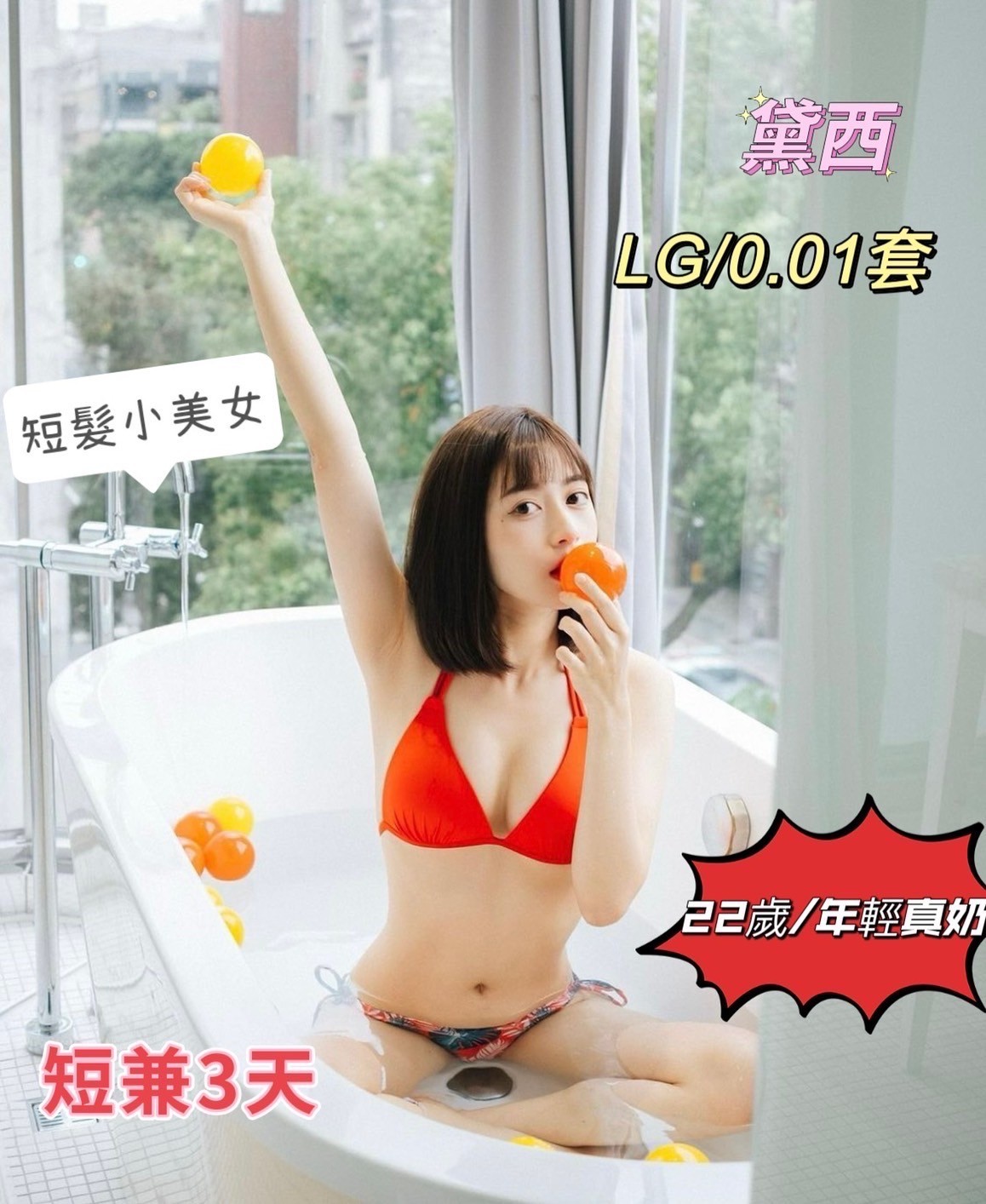 馬來西亞高雄黛西定點圖片